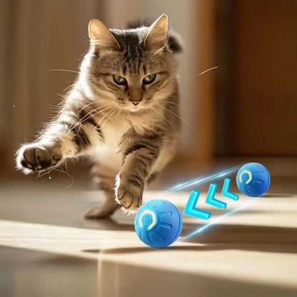 PELOTA SALTARINA