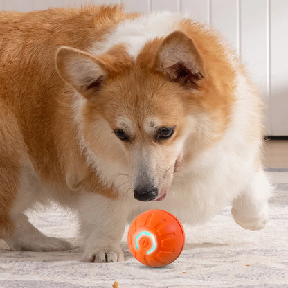 PELOTA SALTARINA