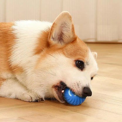 PELOTA SALTARINA