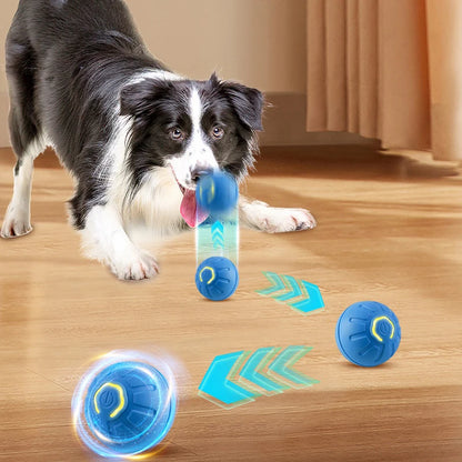 PELOTA SALTARINA
