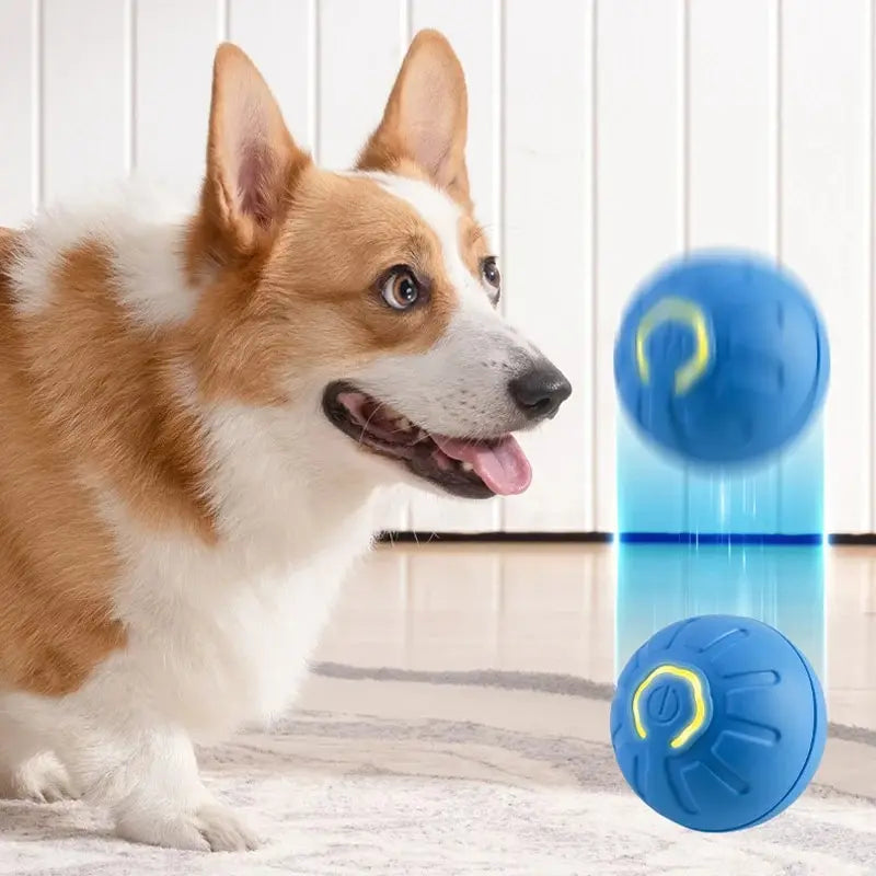 PELOTA SALTARINA