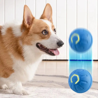 PELOTA SALTARINA