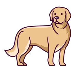 Lotus, nuestro Golden Retriever